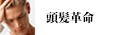 頭髪革命