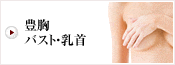 豊胸・バスト・乳首