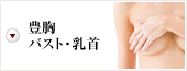 豊胸・バスト・乳首