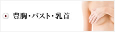 豊胸・バスト・乳首