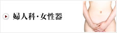 婦人科・女性器