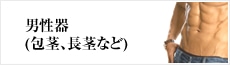 男性器(包茎、長茎など)