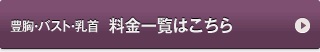 豊胸・バスト・乳首　料金一覧