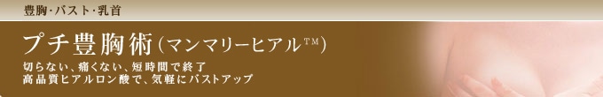 プチ豊胸術(マンマリーヒアル)