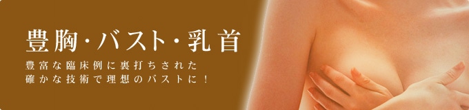 バスト