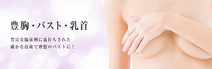 豊胸・バスト・乳首 豊富な臨床例に裏打ちされた確かな技術で理想のバストに!