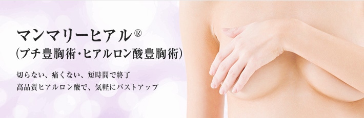 豊胸術(マンマリーヒアル®)切らない、痛くない、短時間で終了。高品質ヒアルロン酸で、気軽にバストアップ