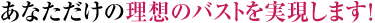 あなただけの理想のバストを実現します!