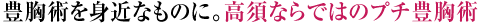 豊胸術を身近なものに。高須ならではのプチ豊胸術