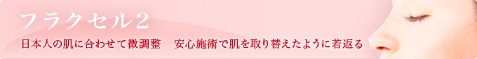 フラクセル2