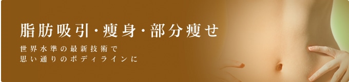 脂肪吸引・痩身・部分痩せ