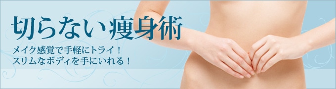 切らない痩身術
メイク感覚で手軽にトライ!
スリムなボディを手にいれる!