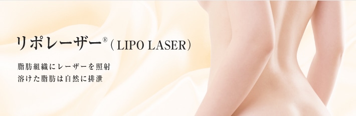 リポレーザー&reg;（LIPO LASER）　脂肪組織にレーザーを照射。溶けた脂肪は自然に排泄