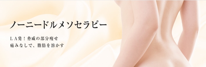 ノーニードルメソセラピー LA発!脅威の部分痩せ。痛みなしで、脂肪を溶かす