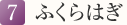7. ふくらはぎ
