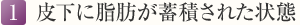 1. 皮下に脂肪が蓄積された状態