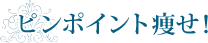 �s���|�C���g�����I
