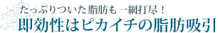 たっぷりついた脂肪も一網打尽!
即効性はピカイチの脂肪吸引