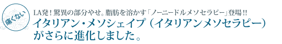 LA発!驚異の部分やせ。脂肪を溶かす「ノーニードルメソセラピー」登場!!イタリアン・メソシェイプ(イタリアンメソセラピー)がさらに進化しました。