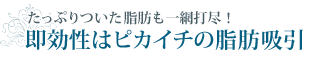 たっぷりついた脂肪も一網打尽!即効性はピカイチの脂肪吸引