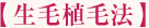 生毛植毛法