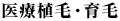 医療植毛・育毛
