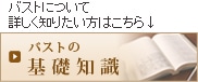 バストの基礎知識