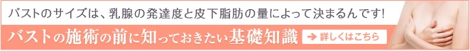 バストの基礎知識