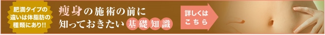 脂肪・痩身の基礎知識