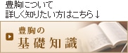 豊胸の基礎知識