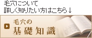 毛穴の基礎知識