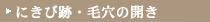 �ɂ��ѐՁE�ь��̊J��