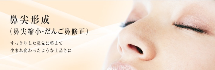 鼻尖形成(だんご鼻修正) すっきりした鼻先に整えて 生まれ変わったような上品さに