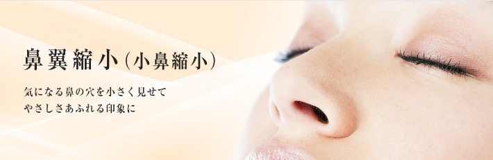 鼻翼縮小(小鼻縮小) 気になる鼻の穴を小さく見せて やさしさあふれる印象に