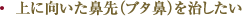 上に向いた鼻先(ブタ鼻）を治したい