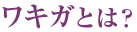 ワキガとは?