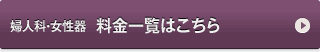婦人科・女性器　料金一覧