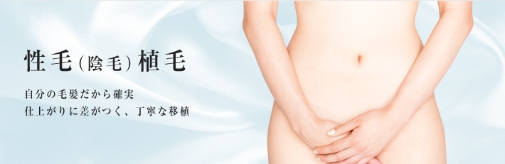 性毛(陰毛)植毛 自分の毛髪だから確実。仕上がりに差がつく、丁寧な移植