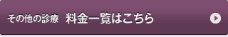 その他の診療　料金一覧