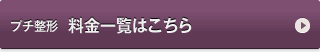 プチ整形　料金一覧