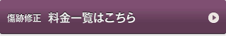 鼻　料金一覧