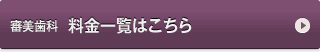 審美歯科　料金一覧