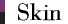 Skin