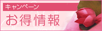 Dr.���{�̔����E�^���~�@�o�����[�Z�b�g
