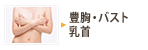 �L���E�o�X�g