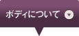 ボディについて
