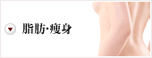 脂肪・痩身