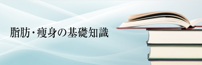 脂肪・痩身の基礎知識
