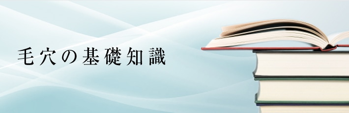 毛穴の基礎知識