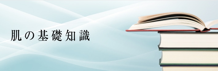 肌の基礎知識
